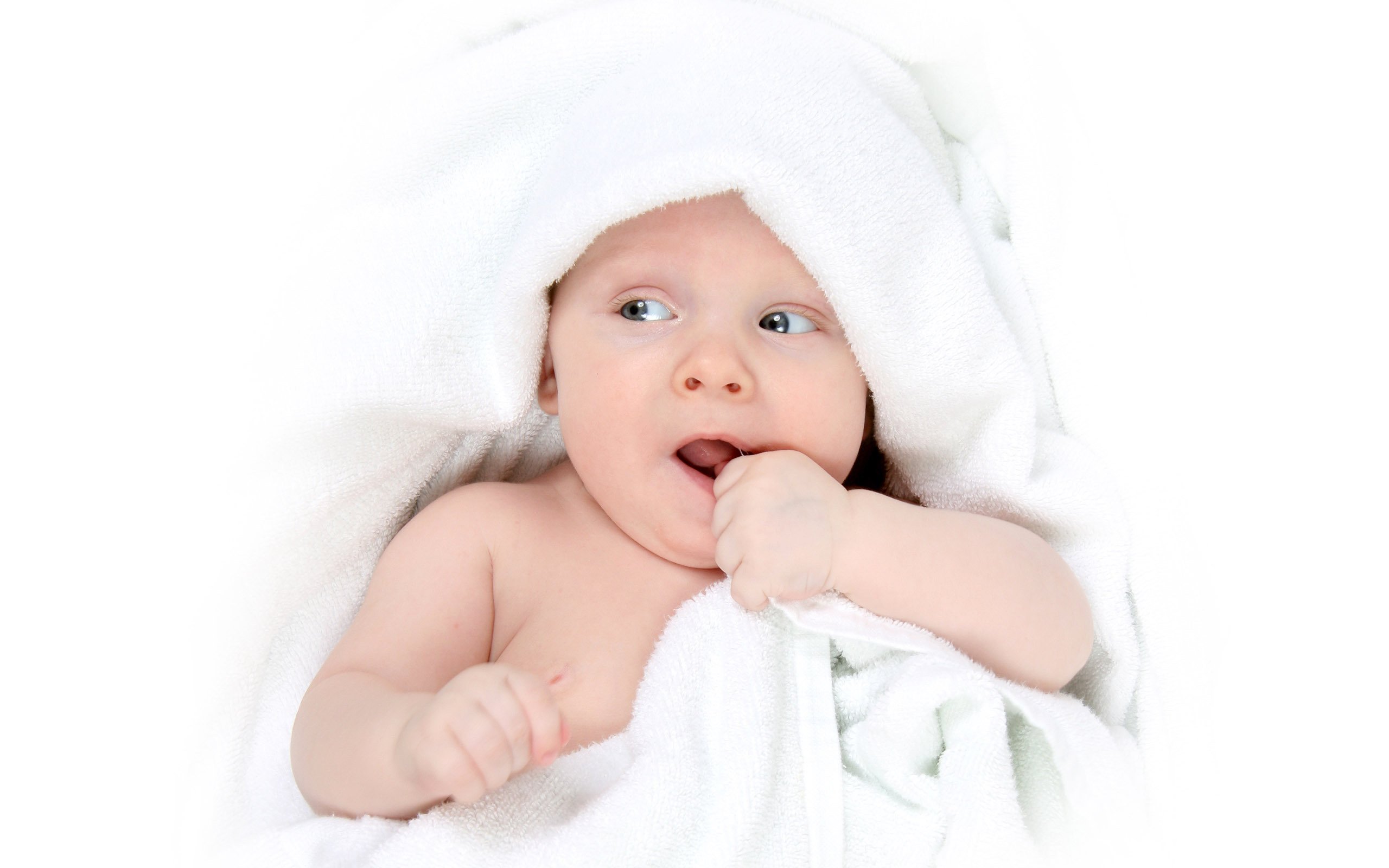 成都捐卵代怀试管婴儿卵泡多少适宜